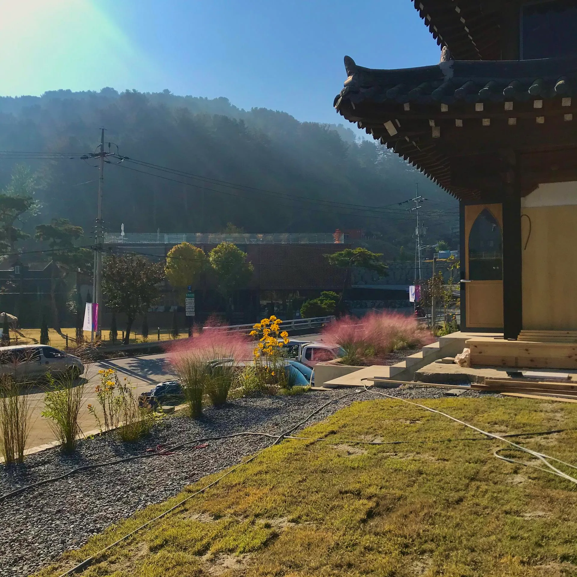 고요재 처마 너머로 보이는 마당과 뒷산